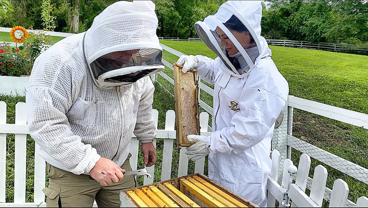 TGL_Farms's tweet image. HONEY BEE APPRECIATION DAY @mannlake Thank you to my mentor &amp;amp; friend John #ratcliffhoneyfarm &amp;amp; Jessica #honeybee.tn for inviting me to such an informative day about everything honey bees! I learned SO much and my pickup truck is officially FULL of #beeequipment &amp;amp; #hives !