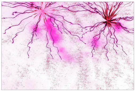 marybedy's tweet image. Holding Hands 6807 070421
mary-bedy.pixels.com/featured/holdi…
#pinkabstract #abstractphotography #marybedy