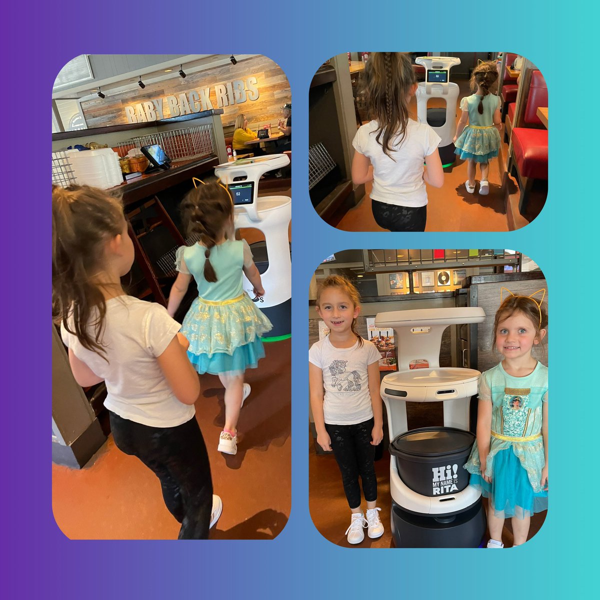 Lisa Wherry tweet media