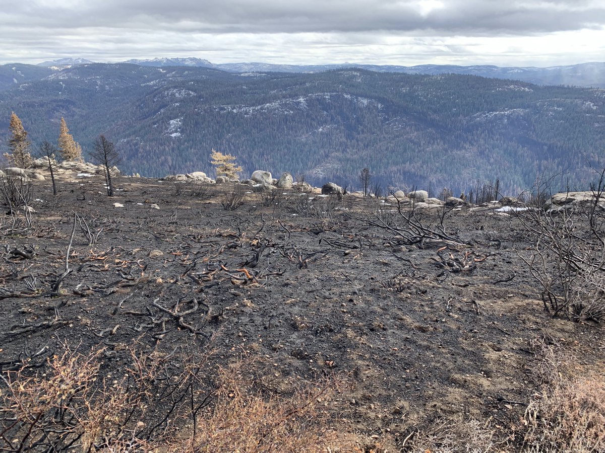 safeeqkhan's tweet photo. We were out in the #caldorefire burn area earlier this week scouring for a potential research site. Old precip gauge and areal snow marker are still standing the historic @CA_DWR Alpha test site but it was quite saddening to see the cabin only few feet away completely destroyed https://t.co/pUwH5G06Fk