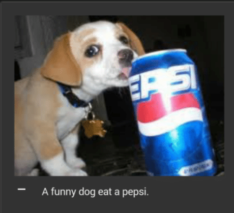 Mog Dotard tweet media