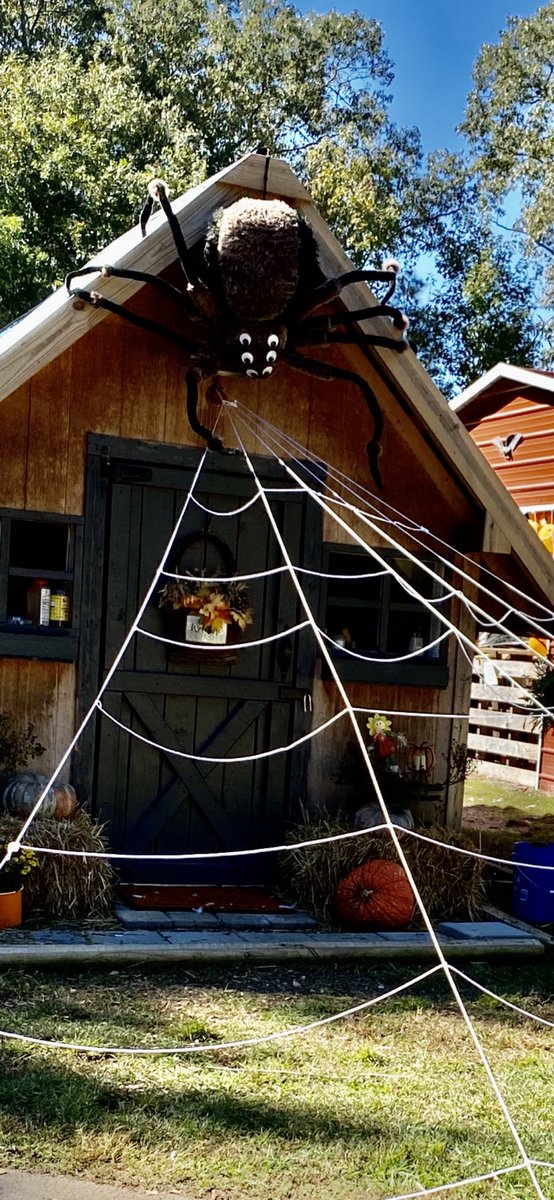 BakerCharm's tweet image. Creepy Critters all around the Life Lab today. #spookySTEM @bakerelembears  @STEMcobb