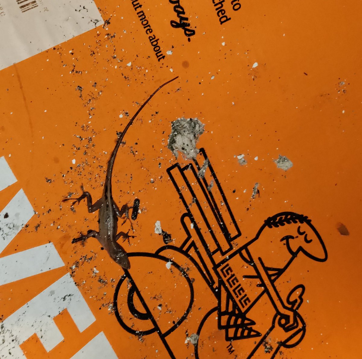 chelliebeach954's tweet image. How it started😕 How it&apos;s going🤣 How it ended😁 oily rescue courtesy of #GooGone