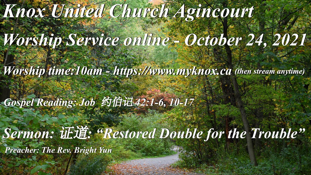 Knox United Church Agincourt tweet media