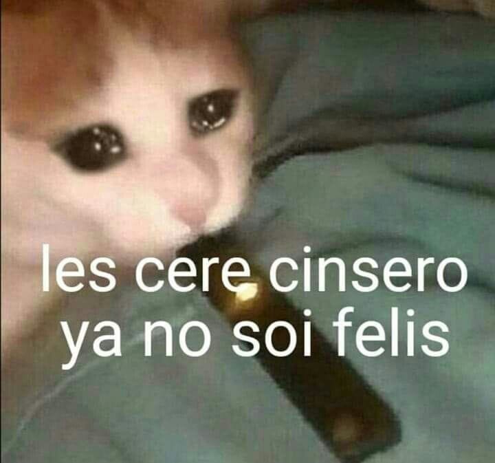 Nadie me paso los nudes de la china Suárez