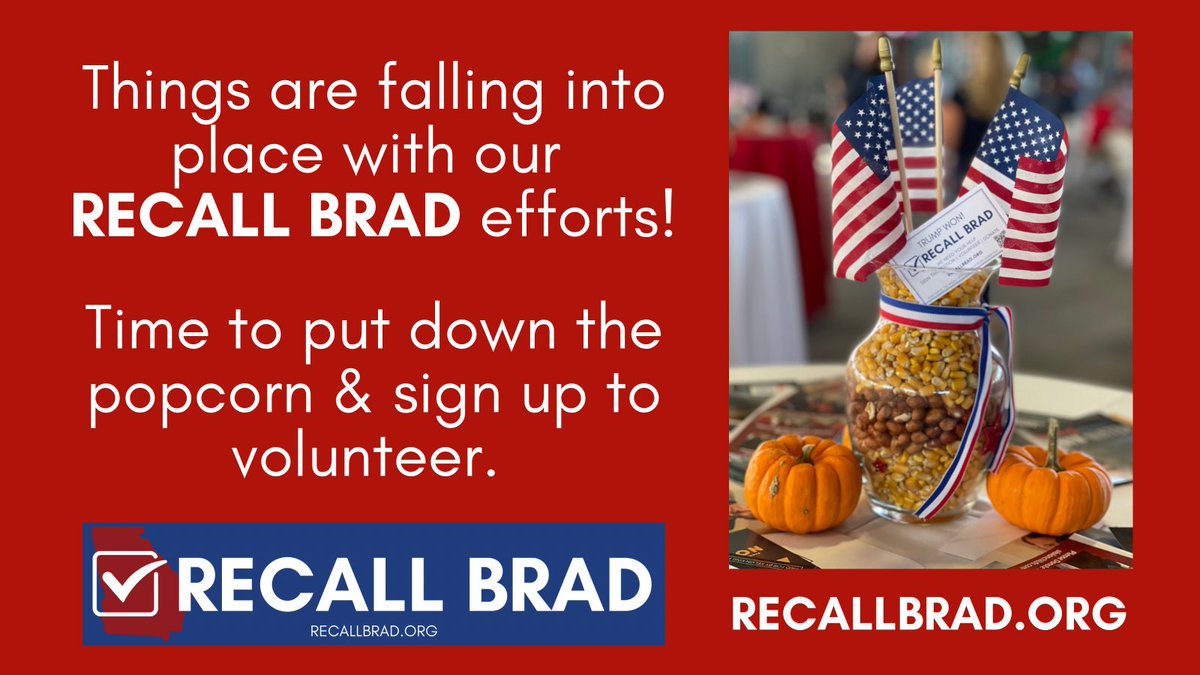 RECALL Brad Raffensperger tweet media