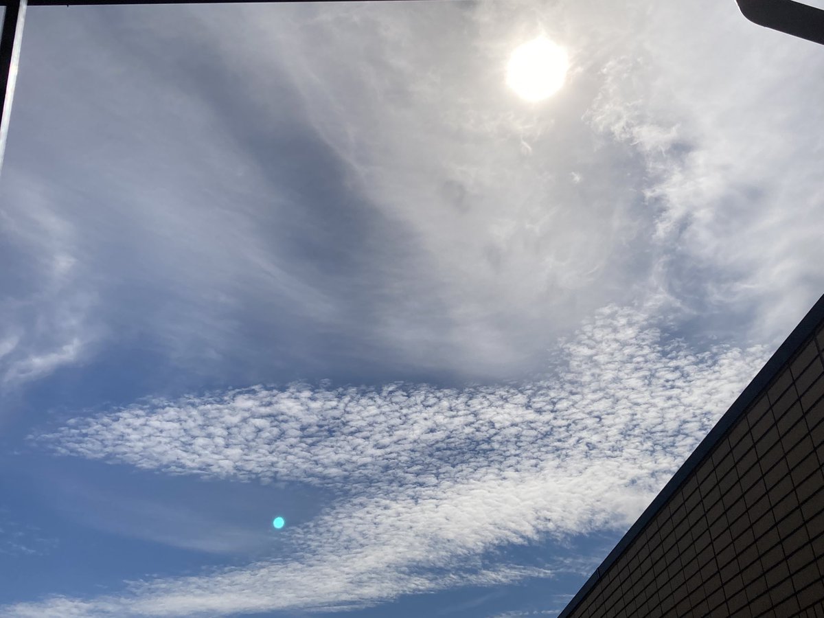 tea🍵てぃー tweet media