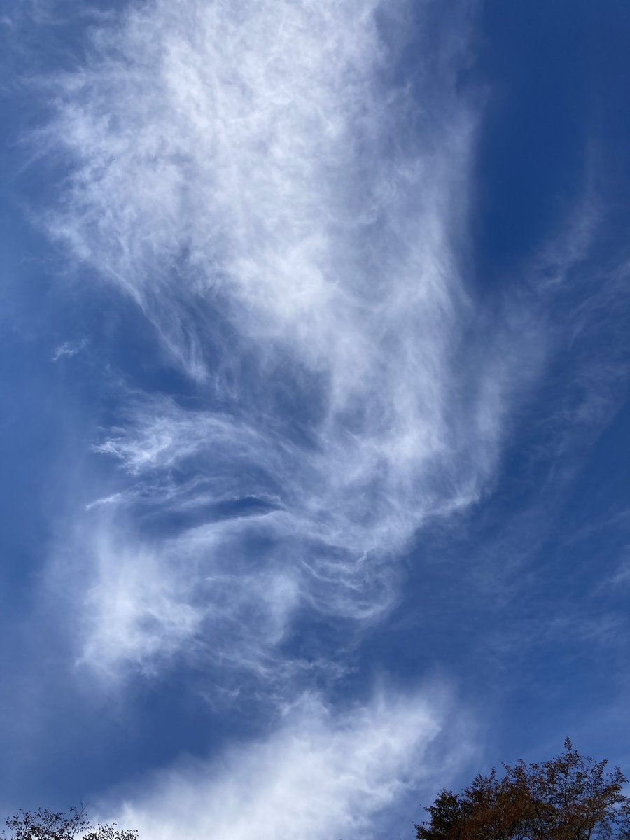 tea🍵てぃー tweet media