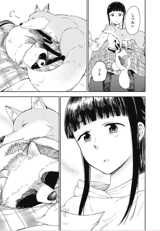 完全にたぬきときつねと里ぐらしじゃん>RT 