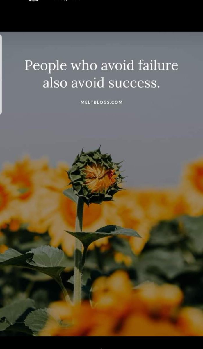 AnonPapyrus's tweet photo. People who avoid failure also avoid success.
#SundayMotivation #SundayMorning #Sunday https://t.co/diFynO0qBa