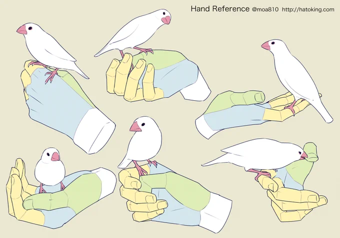 トレス利用・同人/商業利用OKの手のイラスト資料集には、文鳥を飼っている人の手の資料も多数掲載しています。よろしくお願いします👍 #文鳥の日 #文鳥の日2021 -手のイラスト資料集 -Hand Reference https://t.co/aaWJW0JtJn 