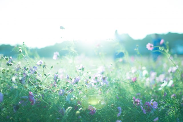 人生には山もあれば谷もあります

凄い人を見ると自分はこの人みたいにやっていけだろうかと心配になる方もおられると思います

でも山の時代のその方を見てるからそう思うだけで、その方にも谷の時代があったはずなのです

だからこそいつもあなたを照らす希望の光があることを忘れないでほしいのです