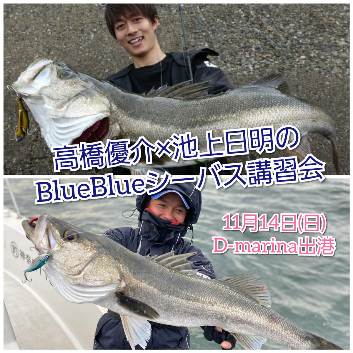 D Marina 公式 横浜 東京湾のレンタルボート Dmarina6651 Twitter D Marina 公式 横浜 東京湾のレンタルボート Dmarina6651 Twitter