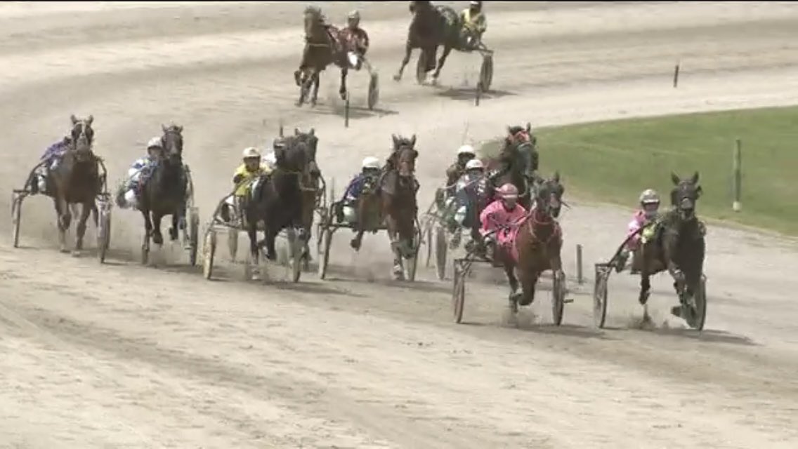 DoggzRogue's tweet photo. Buddha Bing Buddha Bang 💥 Another Win for Doggz. Great work again Maree Campbell @vege07 . Mazikeen back to back 🐎 @Duano73 https://t.co/r2szbfVa9d
