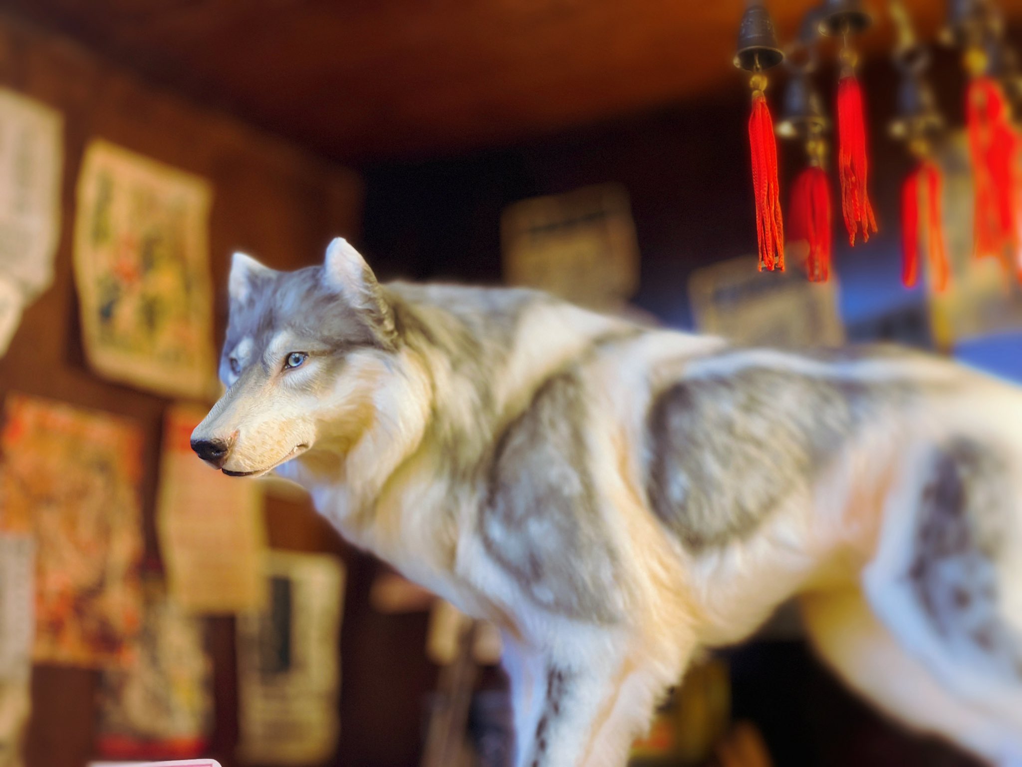 Mile Paxton Mile Paxton Twitter