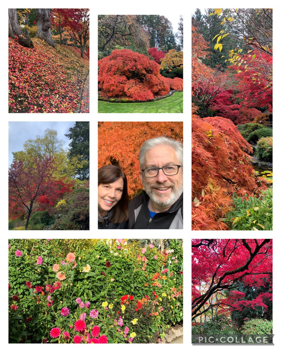Beautiful fall day <a href="/butchartgardens/">The Butchart Gardens</a>!