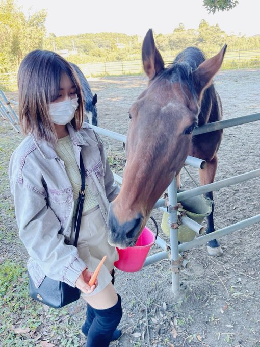 コスプレイヤートキワのTwitter画像31