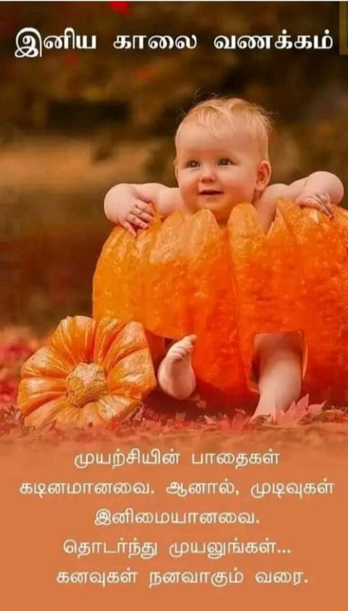 Pk3Premnath's tweet photo. எதையும் சிந்தித்து செய்தால்...

நமக்கு கிடைப்பது  *வெற்றி* ..

எதையும் *செய்துவிட்டு* சிந்தித்தால்...

நமக்கு கிடைப்பது  *அனுபவம்* ..!!!

வெற்றியுடன் இனிய நற்காலை வணக்கம்🌷#இனியகாலைவணக்கம் #காலைவணக்கம் #பிரேம்நாத் #goodmorning https://t.co/8uuZ1akt2Q