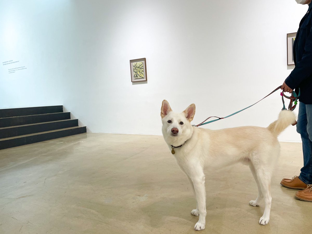 oneandj_gallery's tweet photo. Strolling into the Vexations🎼

𝗖𝘂𝗿𝗿𝗲𝗻𝘁 𝗘𝘅𝗵𝗶𝗯𝗶𝘁𝗶𝗼𝗻
#한진: 벡사시옹
Han Jin: 𝑉𝑒𝑥𝑎𝑡𝑖𝑜𝑛𝑠
8 October - 7 November 2021
ONE AND J. Gallery

✔️사전 예약 없이 전시를 관람하실 수 있습니다.
✔️No reservation is required for the exhibition.

#강아지 #반려견 https://t.co/al9VcMVs1o