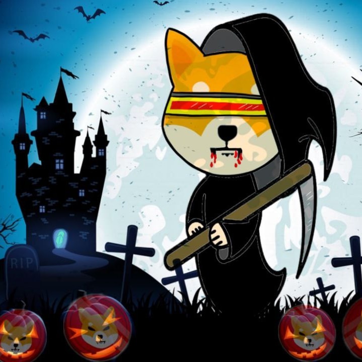 celebrating halloween heading to robinhood #shibaarmy #shibainu #ShibaCoin