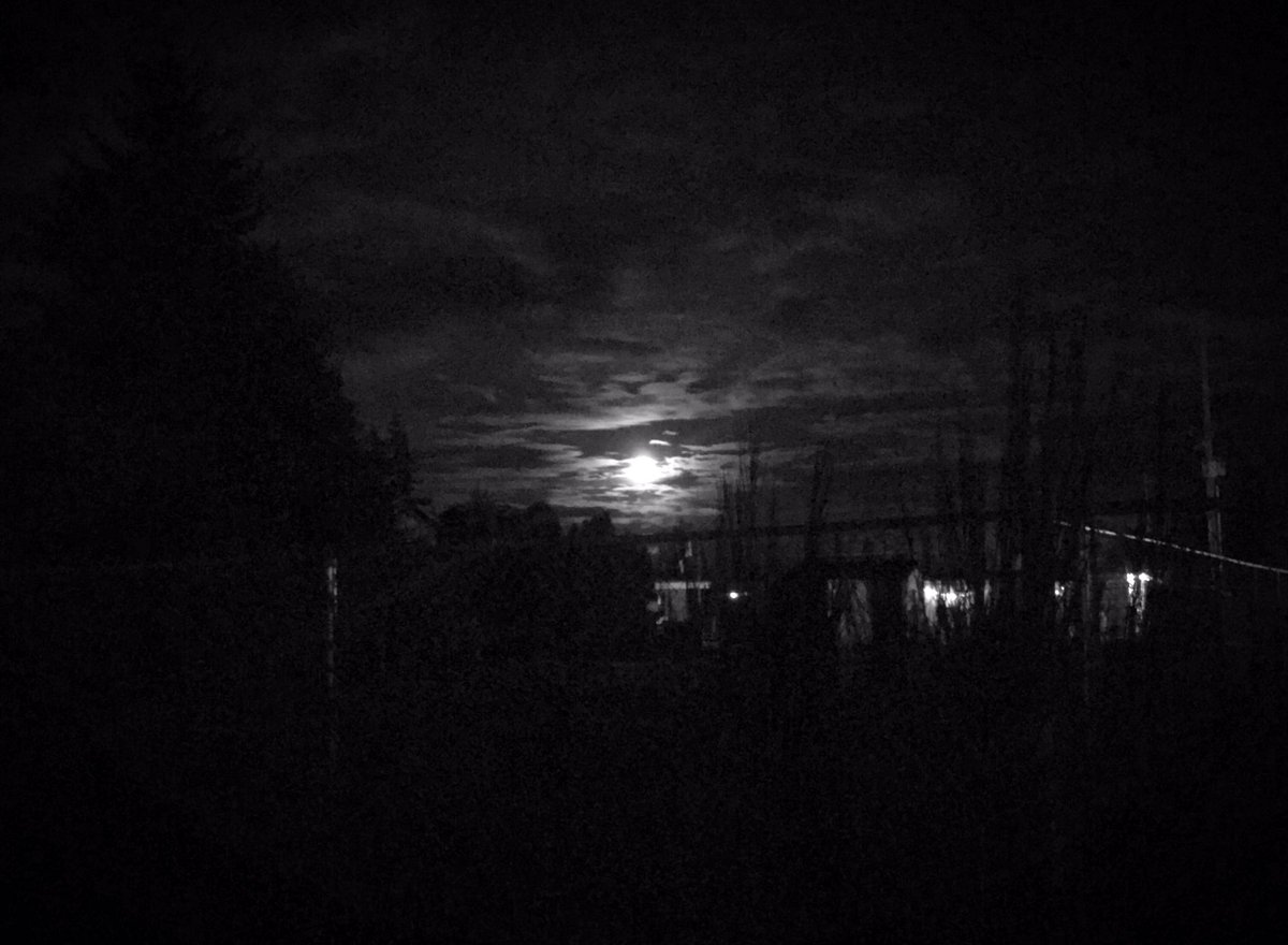 crowadinfinitum's tweet image. Moon rise over my tiny town!🇺🇸💗🔮🌛🌟

#Moon  #TinyTown
#MyPhoto