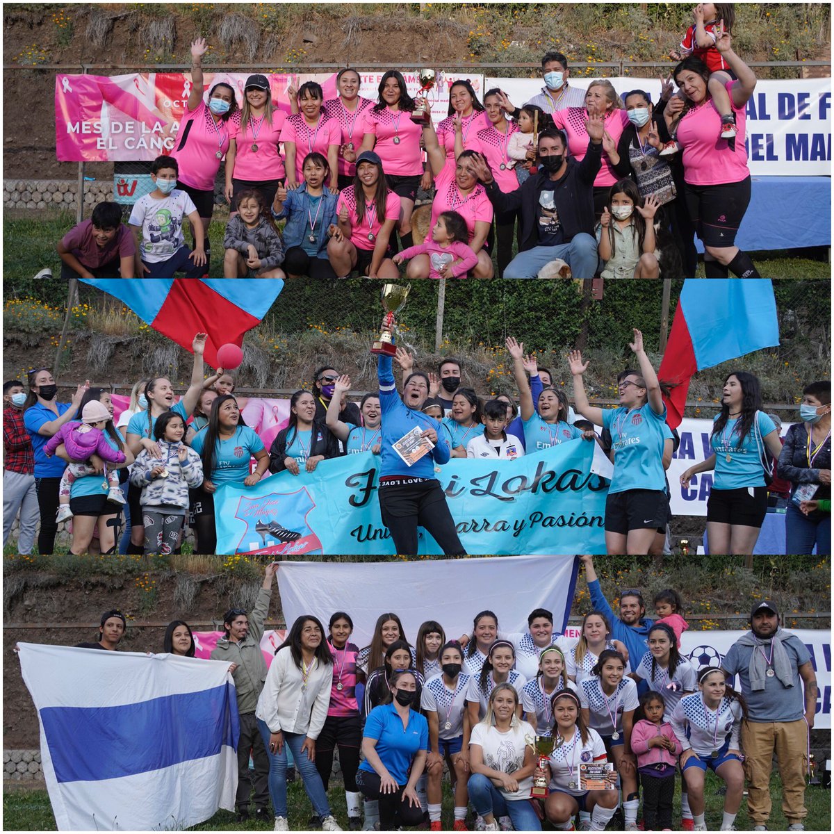 Cámara Turismo Cajón del Maipo tweet media