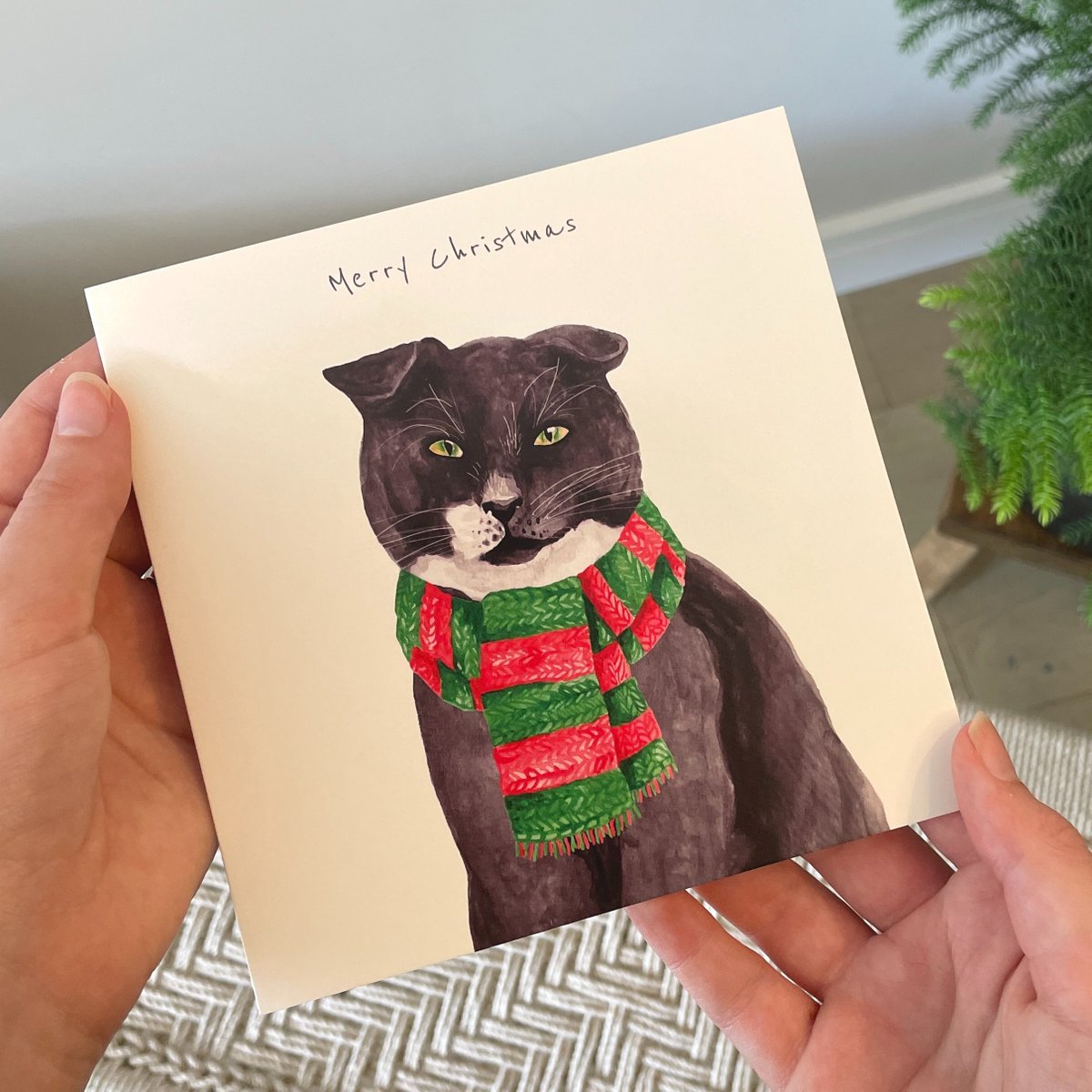 StreetVet tweet media