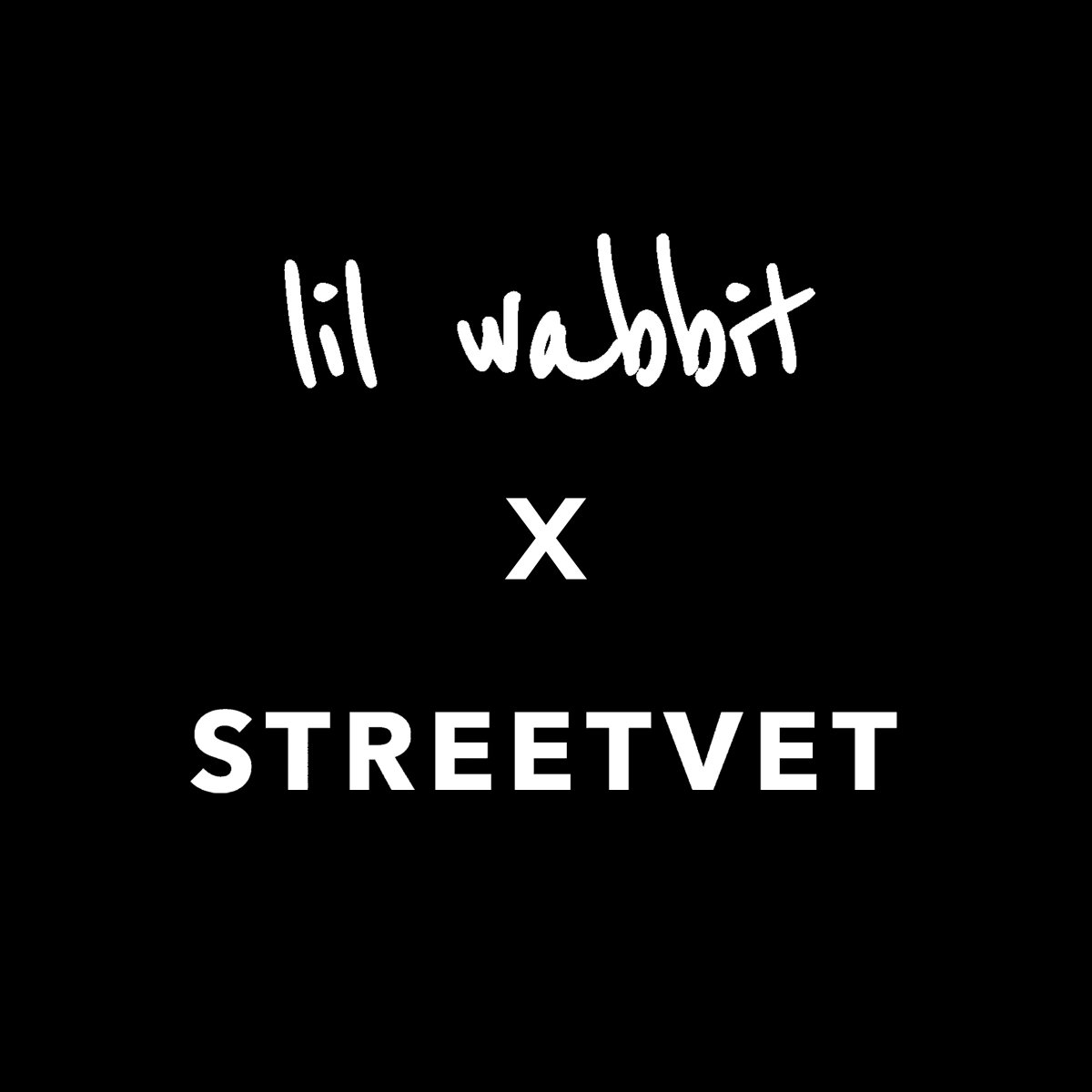 StreetVet tweet media