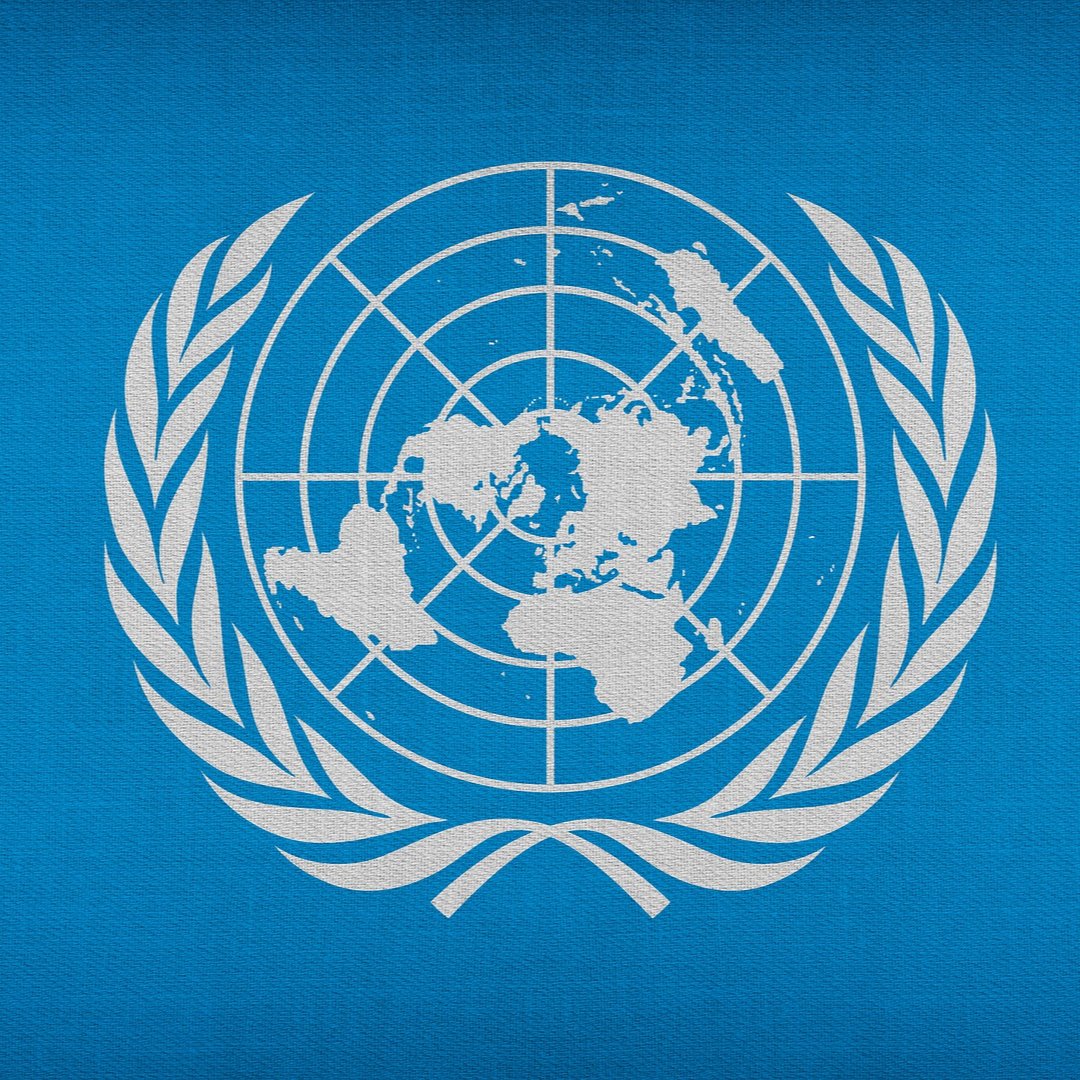 USystems_Ltd's tweet photo. United Nations Day celebrations are not just about the promotion of world peace but also a commemoration of how countries come together working for a common goal. Today we celebrate unity among diverse culture backgrounds. 

#UnitedNationsDay #NationsDay #Respect #tolerance https://t.co/N8ICE2q5b0