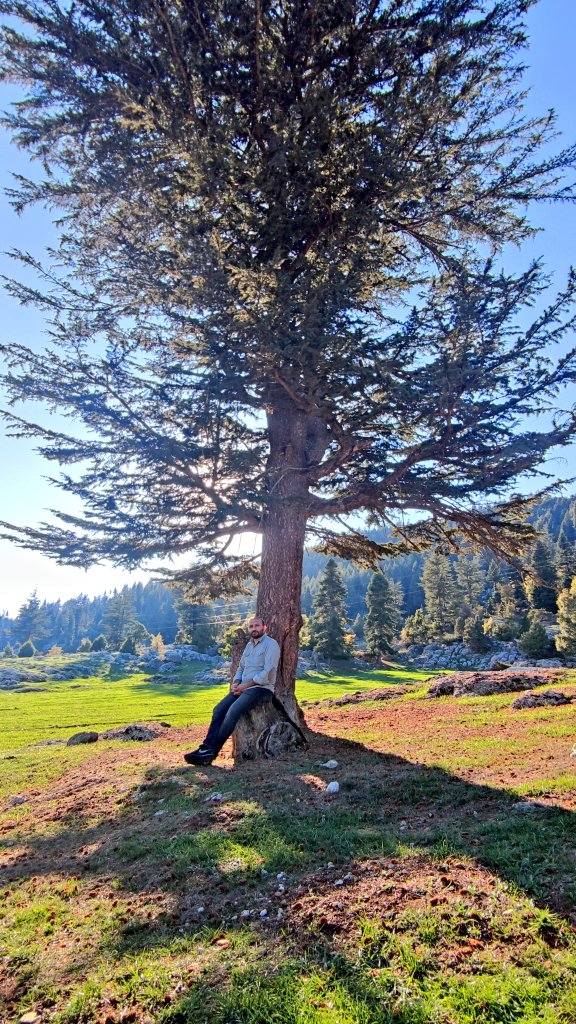 msabriyilmaz's tweet photo. Rabbimiz'in Kevnî Âyetleri olan tüm yeryüzü O'nun eşsiz Sanatı'nın Kudretinin göstergesidir. 
🌲🌲🌲#Kozan #Göller #Yirce #Kayın #Ormanı #Sonbahar🌲🌲🌲 https://t.co/TI0w2hwRVz