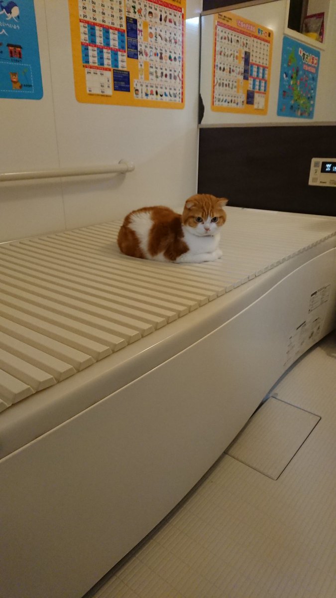 さちさちうにうに (@sachiuni0821) / Posts / X