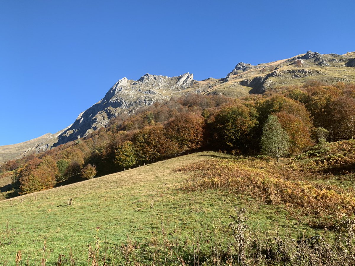 corinne_crabe's tweet photo. L’#automne est bien là. Magnifiquement installé en #ossau #pyrenees forêt du #bitet 🍂🍃🍁 https://t.co/bvHkds0dWZ