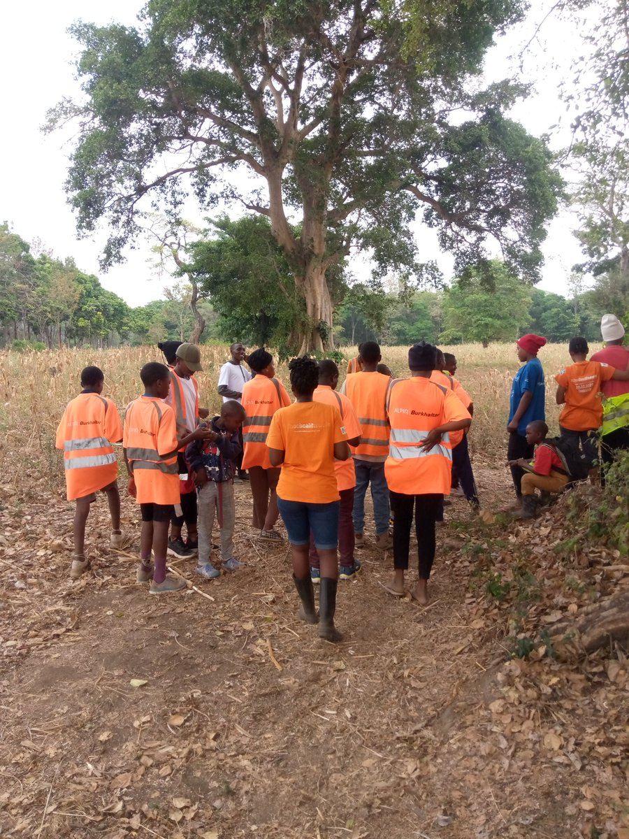 change4futuretz's tweet photo. On weekends We do not just Sit and Gossip, We do something for our environment. Join the Campaign every Saturday From 9am to 11 am.#change4future https://t.co/iVxpO8bemA