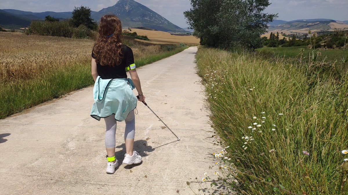 Blind Explorer tweet media