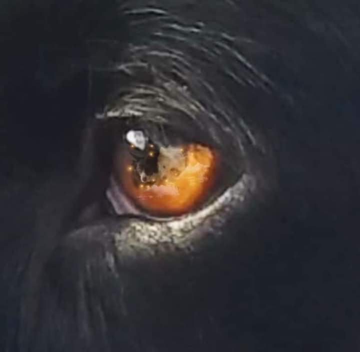 Murf's Mum tweet media