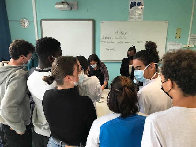 Cité scolaire Harteloire site officiel tweet media