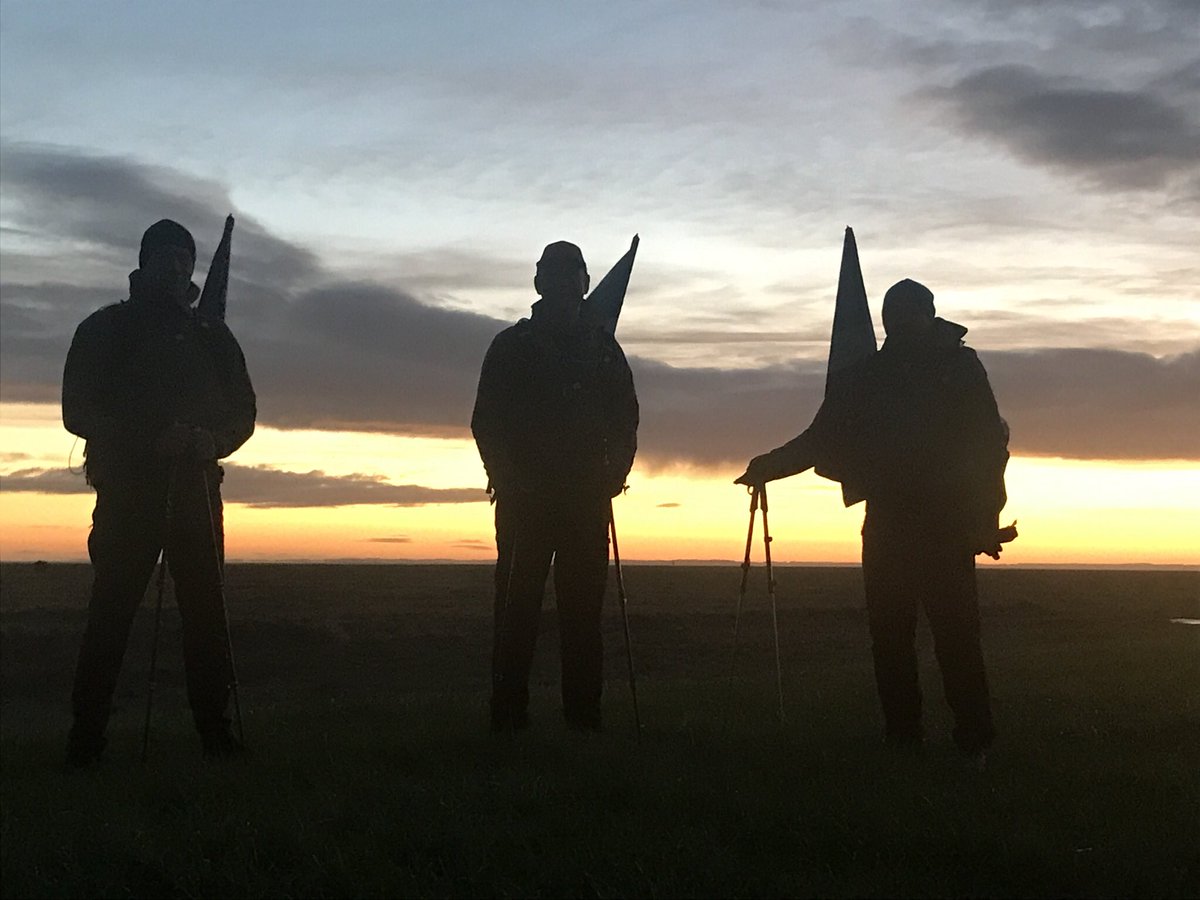 Andy Airey tweet media