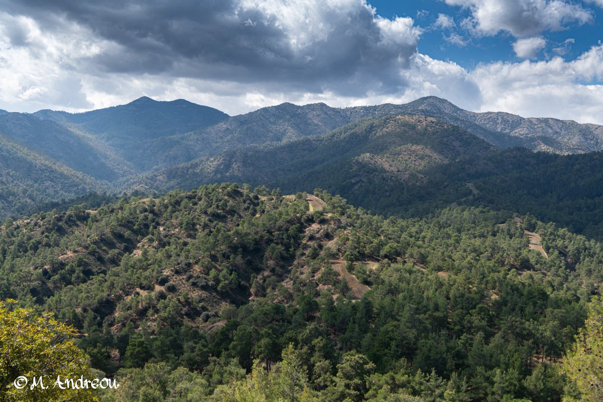 andreou__marios's tweet photo. Kionia - Machairas Forest (Cyprus)

#kionia #machairasmountains #machairas #pineforest #troodos #troodosphotography #cyprus🇨🇾 #photooftheday #nature #naturephotography #nikon #nikonphotography #chooseyourcyprus #cloudporn #clouds

For more photos visit https://t.co/XKUGDHsEJb https://t.co/fty15TumeS