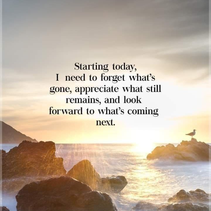 mira lyla (@lylamira) on Twitter photo 