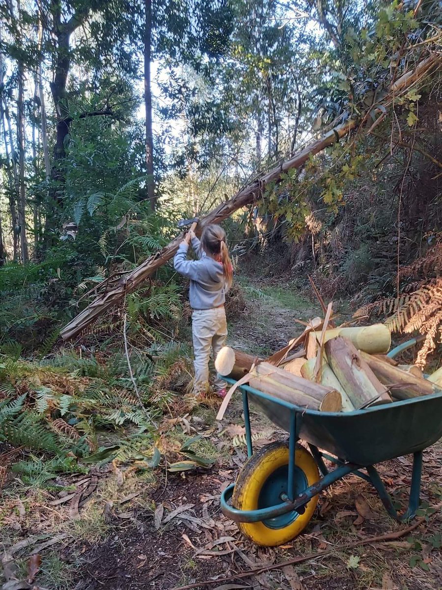 Alexandre88vir1's tweet photo. The only people I'm interested in following, to rely on better learn and inspire, are those who set the example. Those who are literally on the ground, living to recreate and challenge themselves. FAMILᛉ   COMMUNITᛉ  IDENTITᛉ   RURALITᛉ https://t.co/E0HKRh2oim