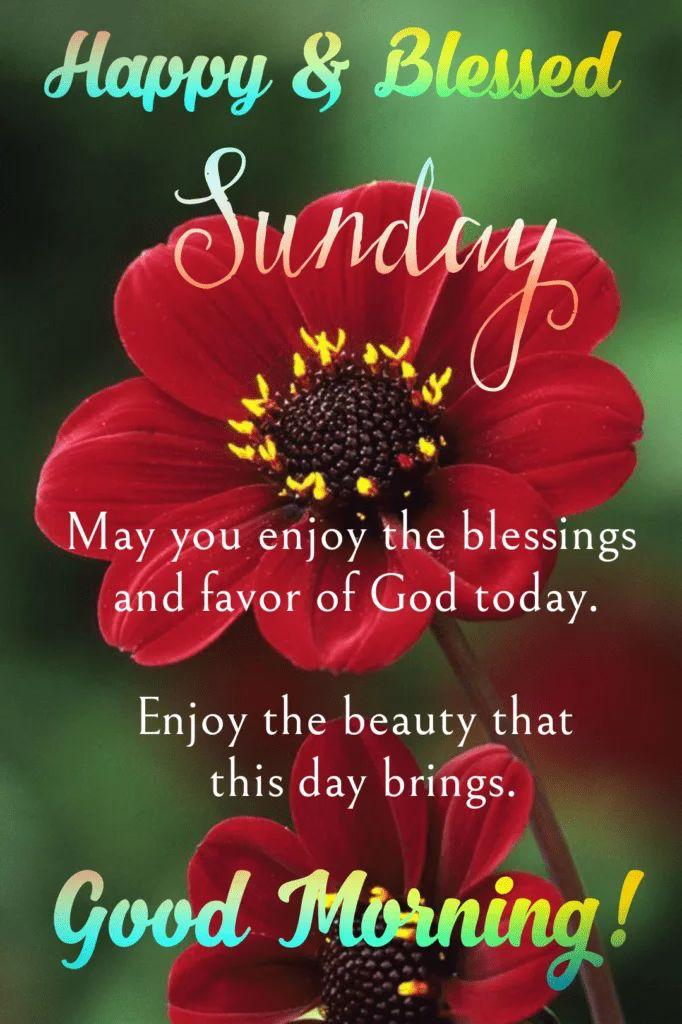 StopRacismevery's tweet photo. @SueliRizzi3 @tnmuda @italianostyle1 @MarEthr @GRAHAM15583070 @Nazia_fb @Leiluna9 @zapp12347 @flowi102 @ThyRevolution @rootnk @anthony_queens @CarmenLikeRamen @FelixAnchor__ @snsrjl @Allegra_2304 @DougQuantz @simmonsy88 @dd4ryo @WidzDj @how378_ Thank you https://t.co/Hhy34ZixPH