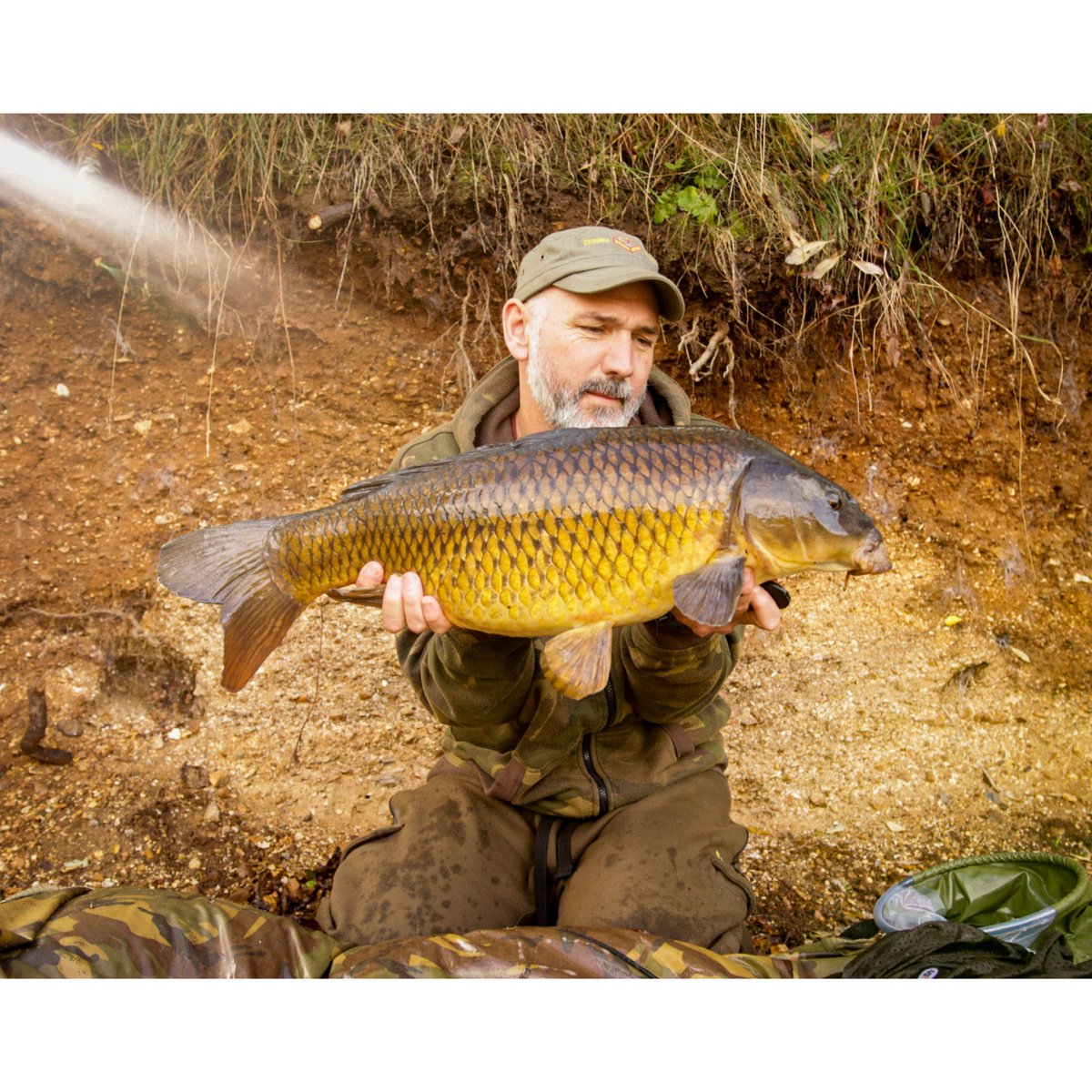 DaveLittle___'s tweet photo. Autumnal gold! #ccmoore #monsterparticles #cotswoldaquarius https://t.co/KQQGmBbyS5