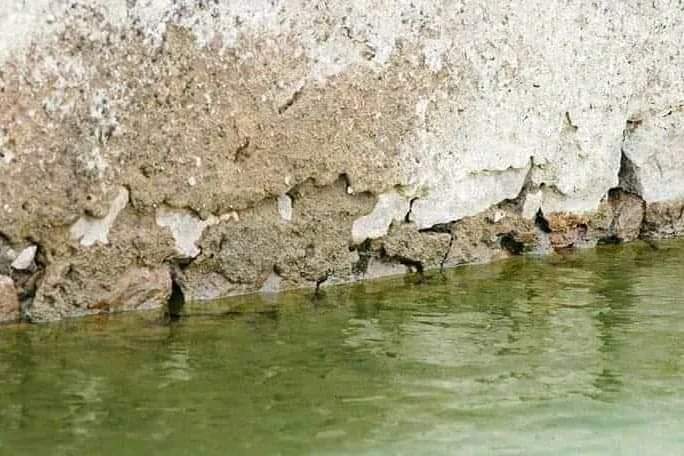 abhijith2109's tweet photo. Pic taken from Mullaperiyar dam when water lowered to 116 ft in 2008. Now it's 2021. Don't know what is the situation of the dam now. 
Its time to fight together.. Otherwise Kerala won't be there.. 🙏
#DecommissionMullaperiyarDam
#SaveKeralaBrigade
#savekerala https://t.co/AsuVF17c25