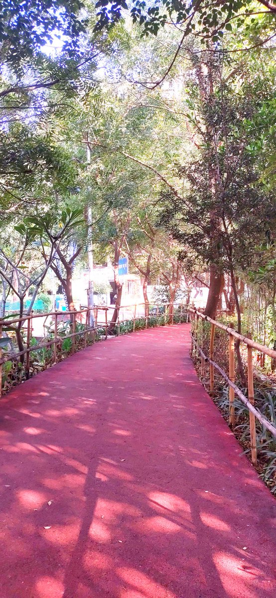 PotterNikhil's tweet photo. Ahilyabai Holkar Udyan, Katraj, Pune. Awesome work by @vasantmore88 and @mnsadhikrut team. I wish to see such beautification projects at Hadapsar too. https://t.co/UDAZS2rQVw