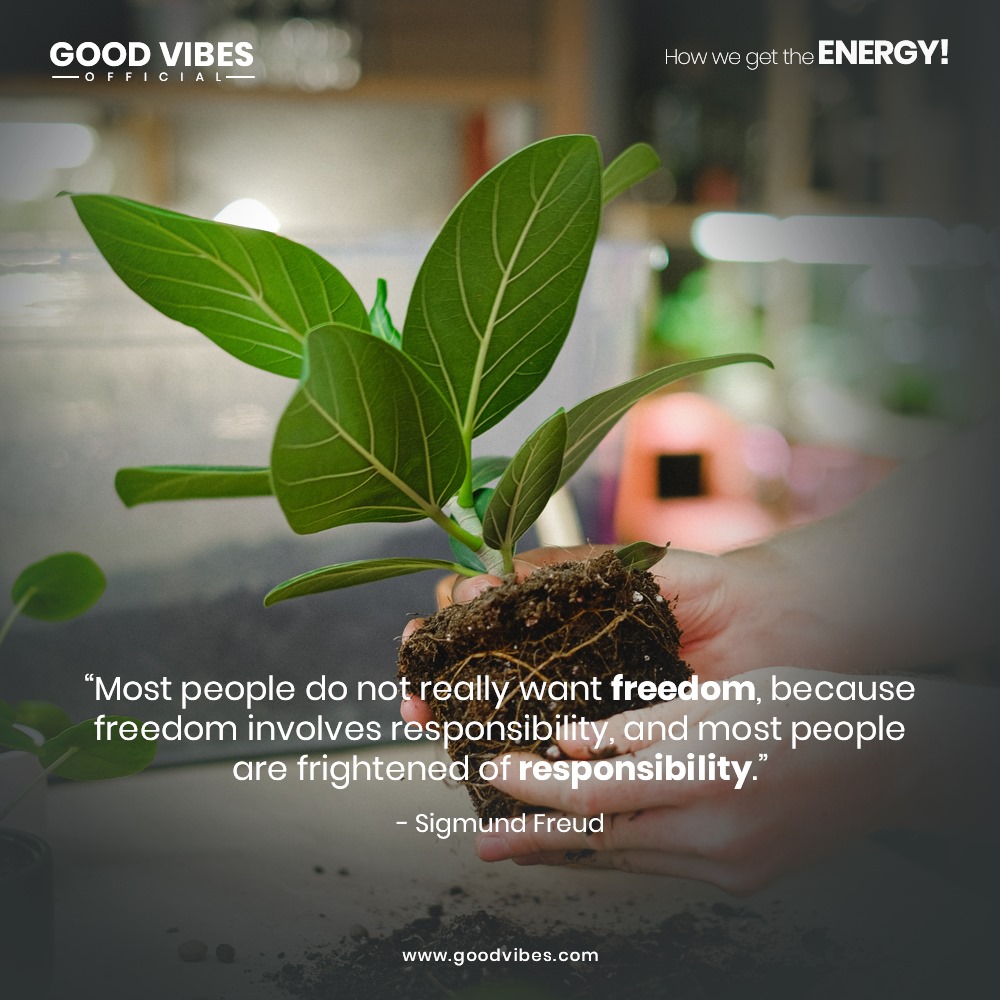 gvofficialapp's tweet photo. #goodvibes #freedom #reponsibility #meditation https://t.co/Ob143YDCcy