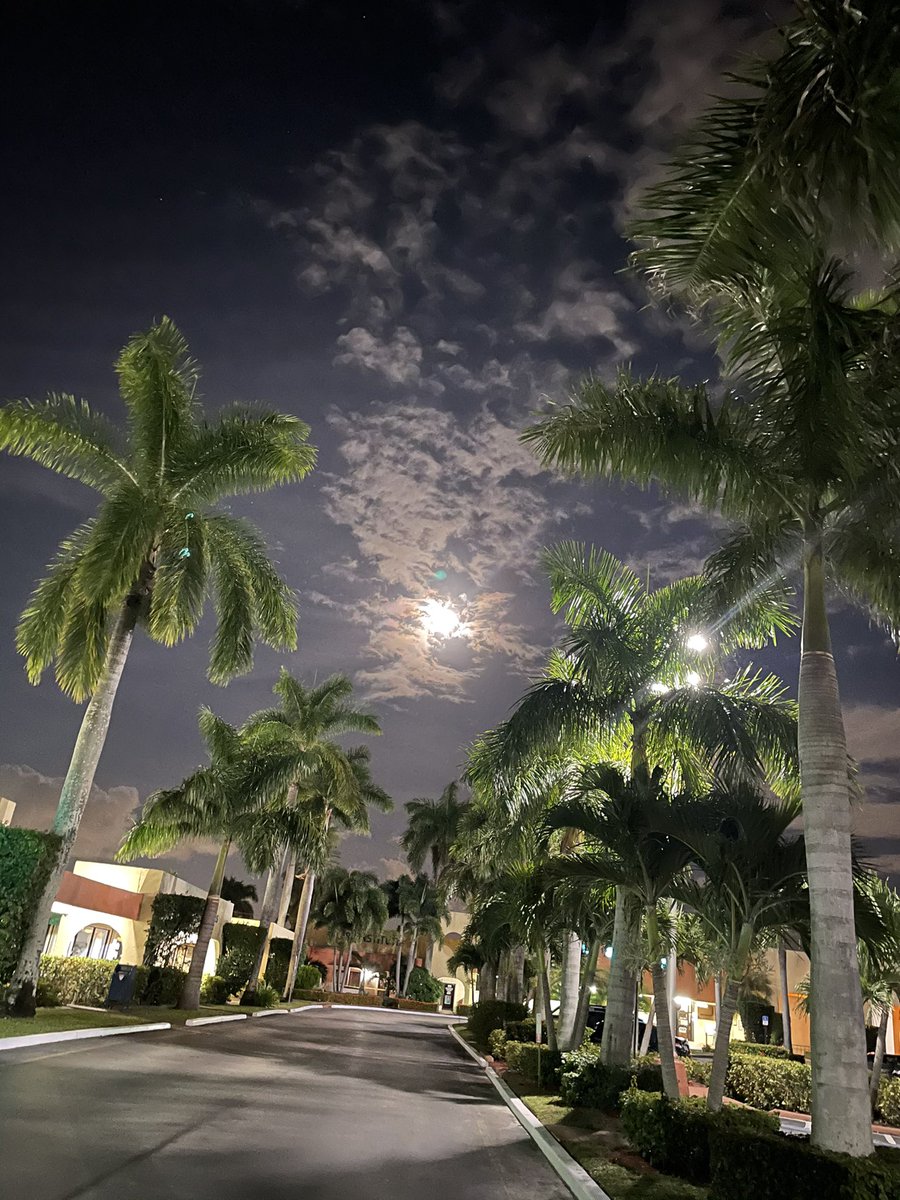 Belquismont's tweet photo. La Luna nos ilumina de noche y el sol de día, pero a veces la luz se lleva por dentro cuando tienes tu alma llena de alegría. Si a Jesús tienes en tu corazón serás luz tanto de noche como de día! #LIB1 Belquis Monterrey https://t.co/Jivd5sk0Hd