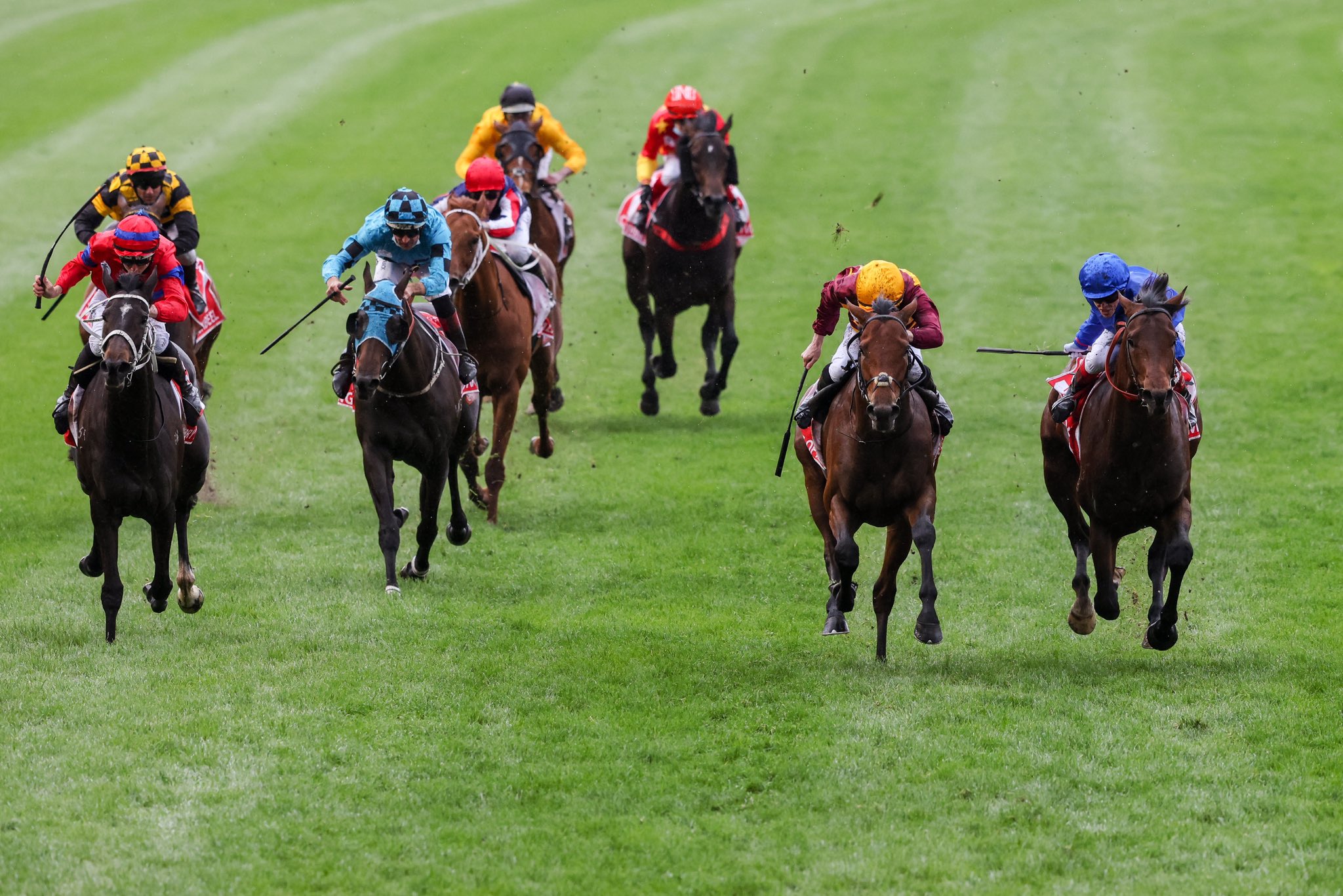 Cox Plate Carnival Coxplate Twitter