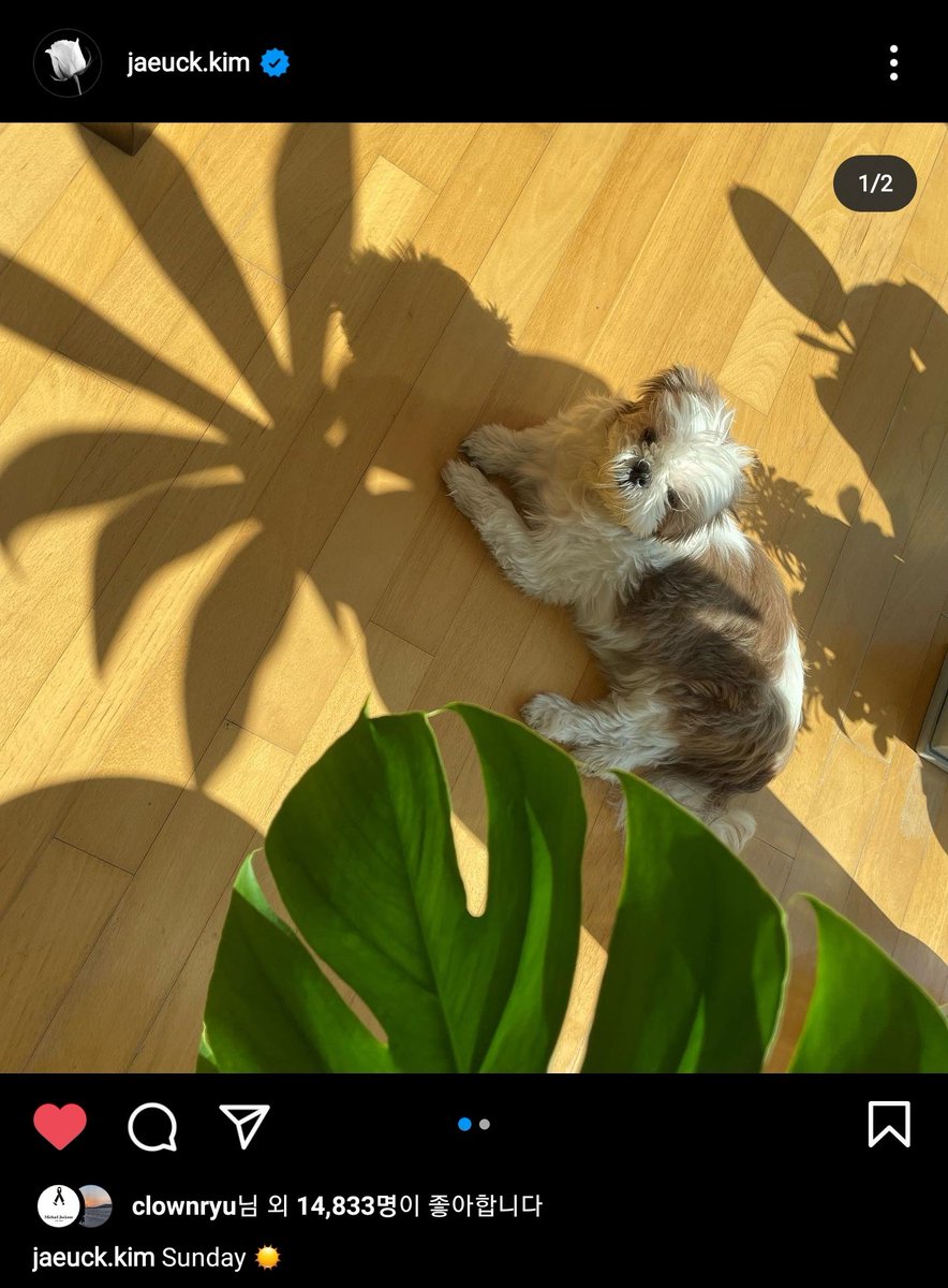 그래요 이제 작품 들어간다고 슬슬 살아있다는 티를 내보겠다 이거죠