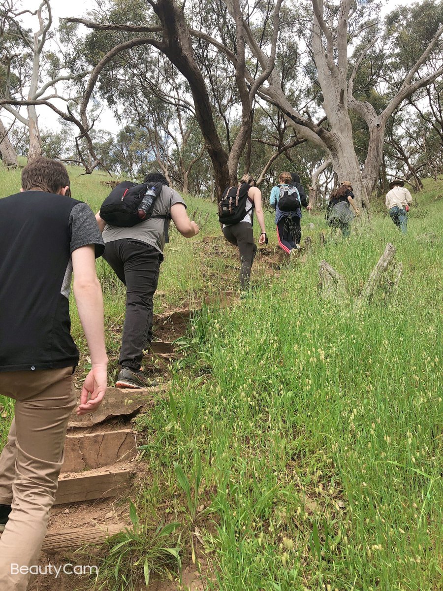 __PAWS's tweet photo. Yayyyy! We made it! Friday afternoon climb at the Waite Reserve. 
A huge thanks to Peter Bird, the President of Friends of Waite for taking the time to show us around! @UniofAdelaide  @waiteresearch https://t.co/vlj3kSqnPz