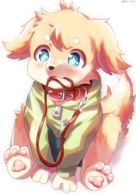 お散歩行こうよ!!🐶 